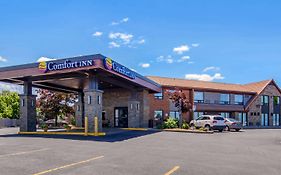 Comfort Inn st Catharines